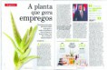 /album/forever-living-na-midia/detalhe-entrevistagregg2-jpg/